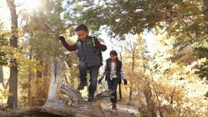 The Hidden 10 Benefits of Letting Kids Play Freely Outdoors