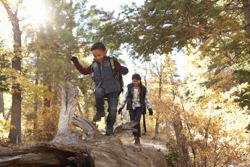 Outdoor Play and Exploration