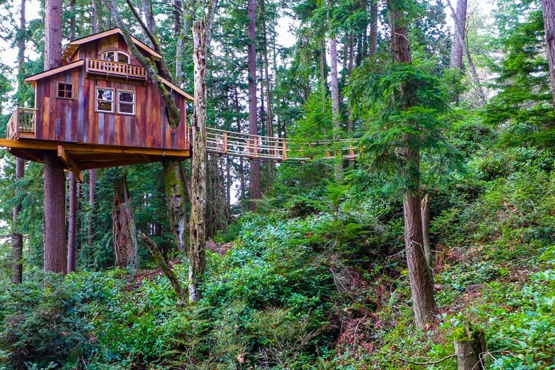 Secret Treehouse Hideouts