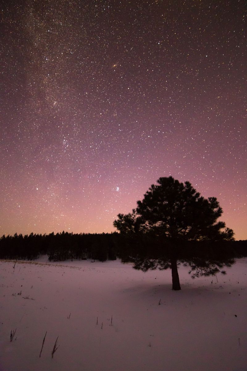 Silent Nights and Starry Skies