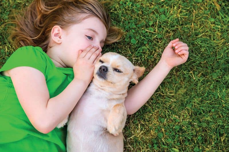 Talking to Pets as Confidants