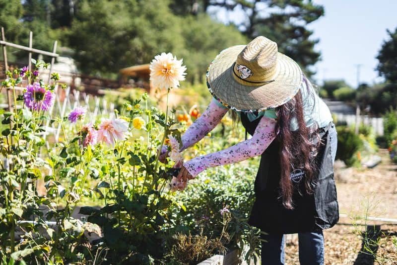 Tending to a Large Garden