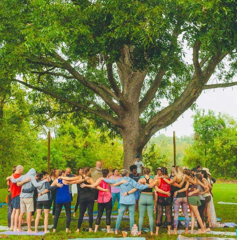 Tree Hugging Festivals