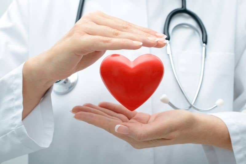 Cardiovascular Health Support