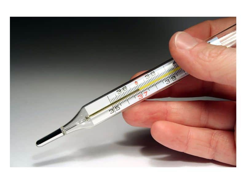 Mercury Thermometers