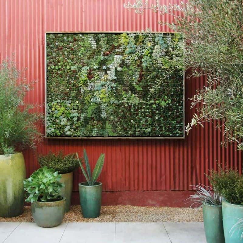 Vertical Gardens