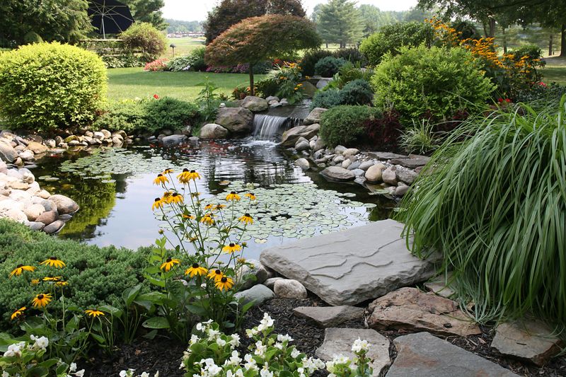 Artificial Ponds