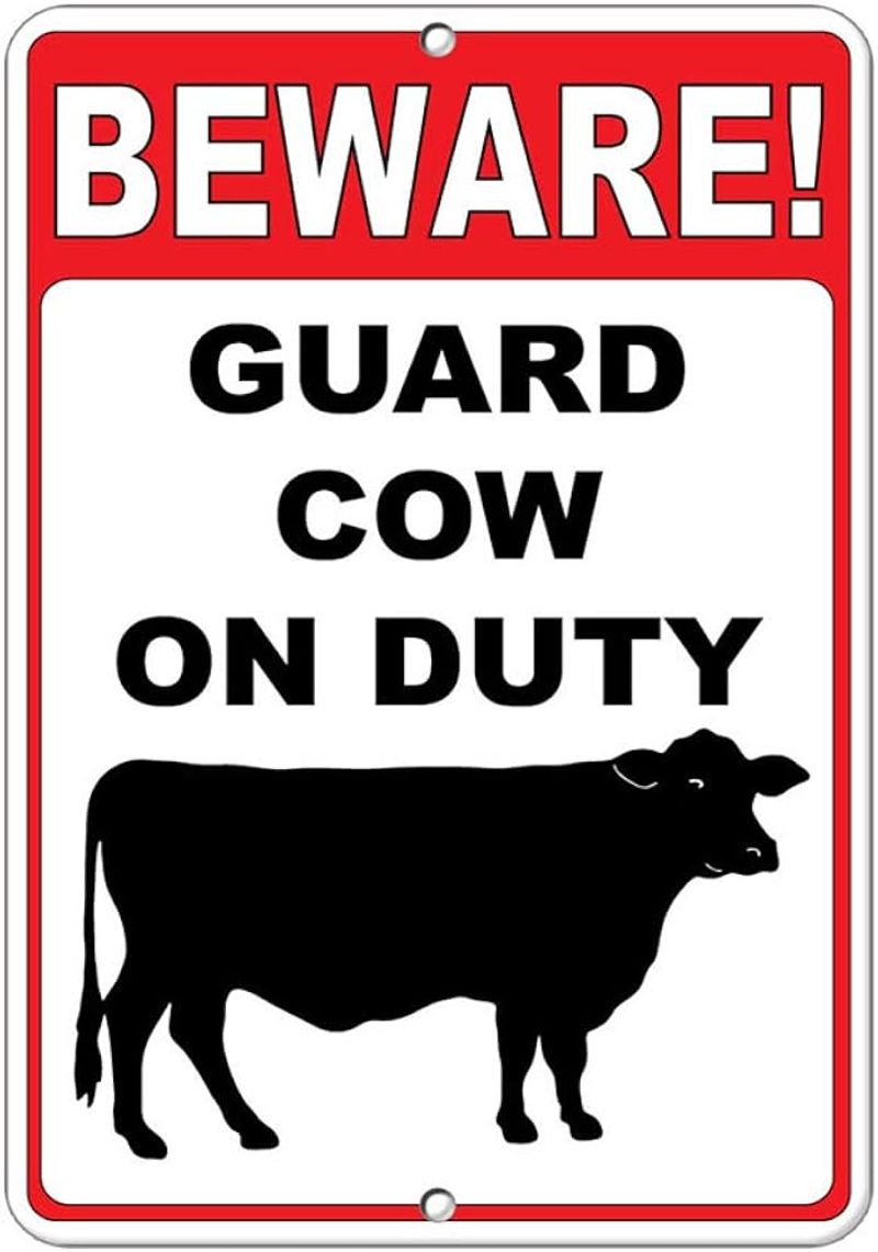 Beware of the Cow