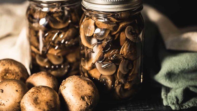 Canned Mushrooms