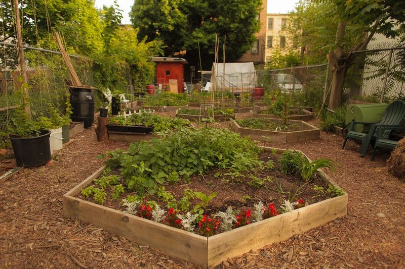 Community Gardening