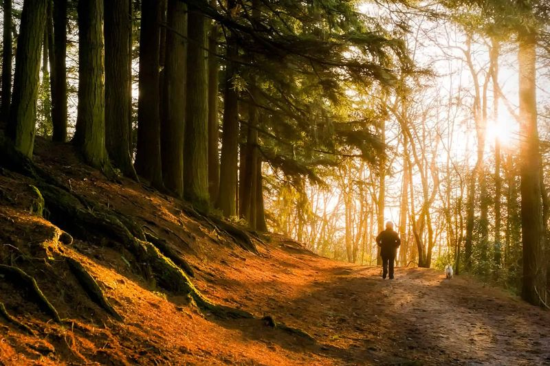 Connect with Nature