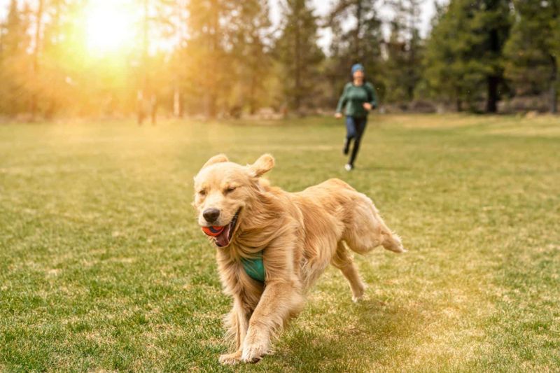 Daily Exercise Commitment