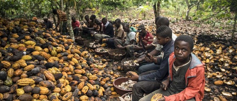 Economic Impact on Farming Communities