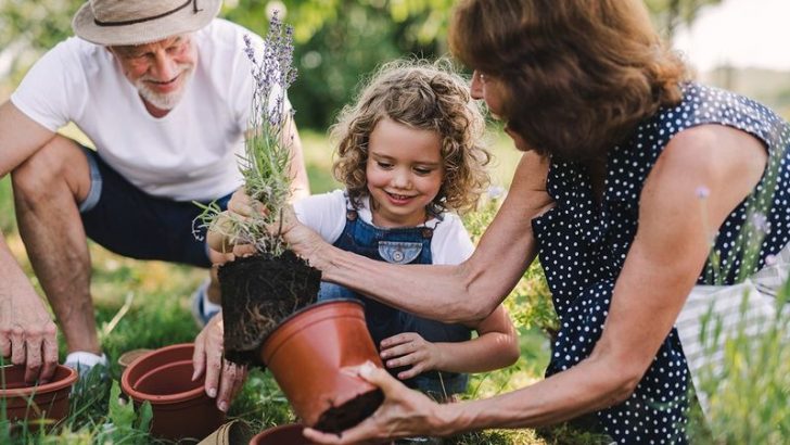15 Things Boomers Got Right About America That We Are Finally Acknowledging
