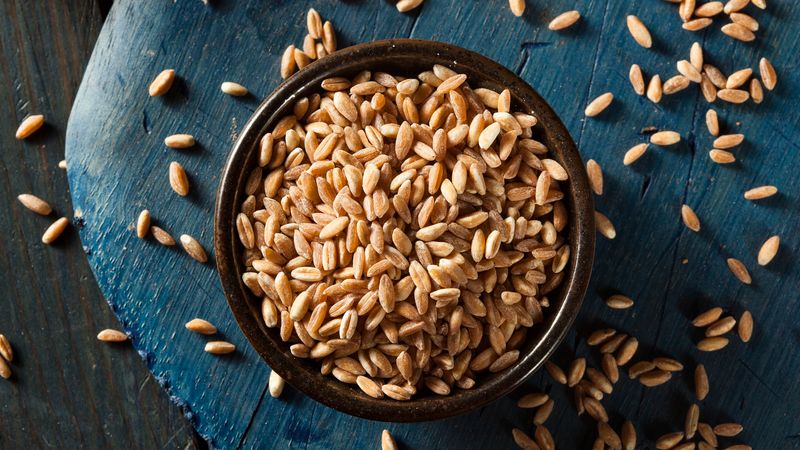 Farro