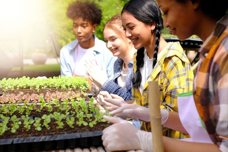 Gardening