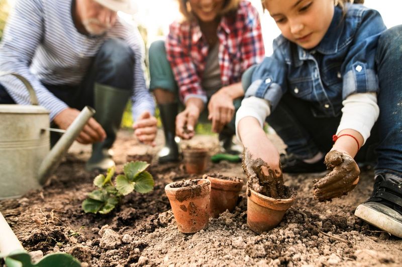 Gardening
