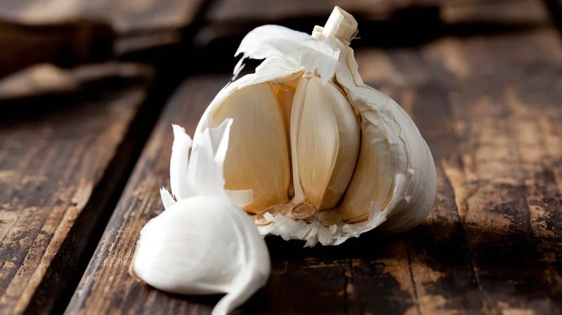 Garlic