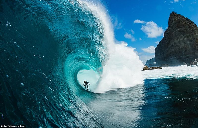 Gnarly
