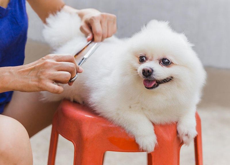 Grooming Routine