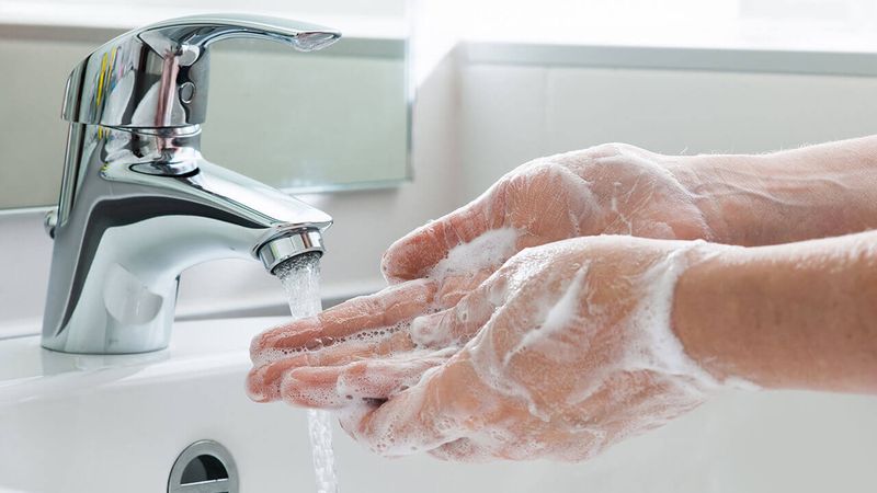 Hands