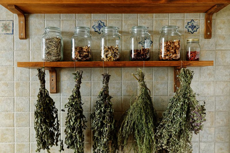 Herbal Remedies