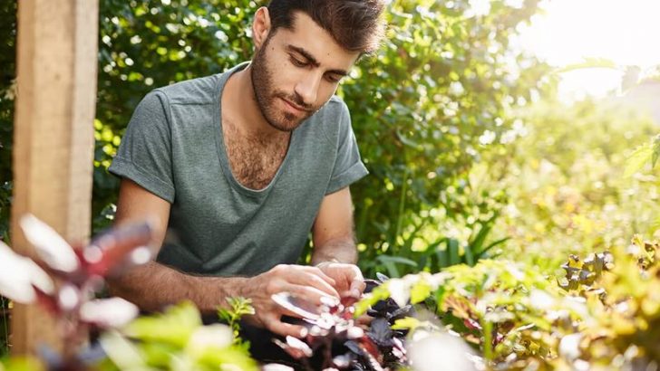 13 Sustainable Practices Your Great-Grandparents Used That Are Revolutionizing Modern Homes