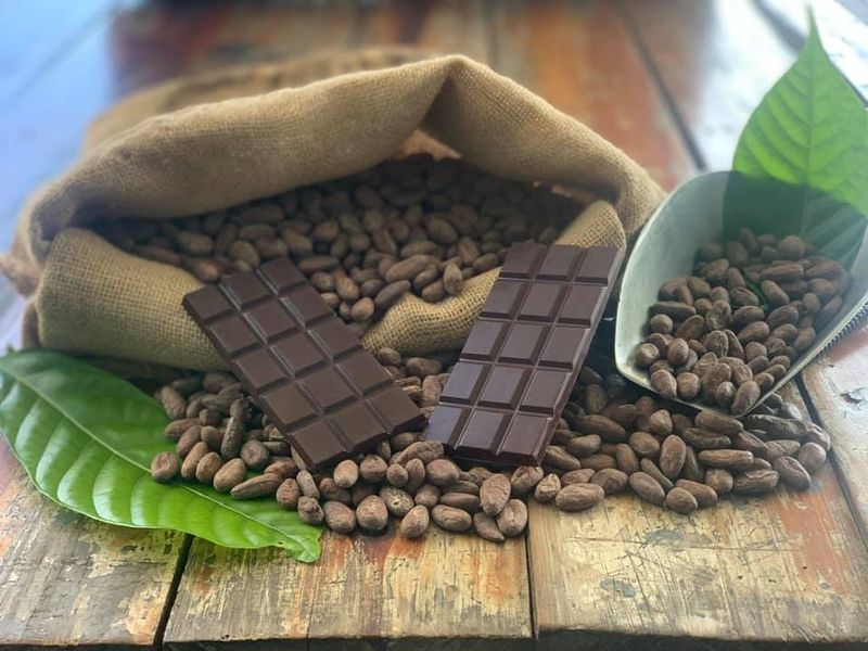 Innovations in Cocoa Processing