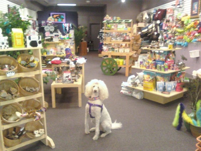 Pet Stores