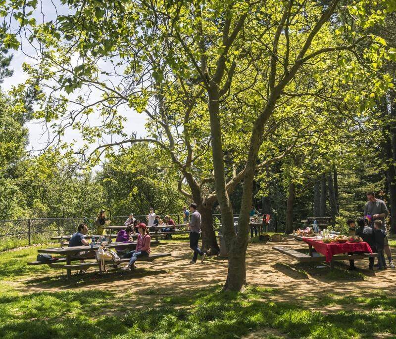 Public Parks for Recreation