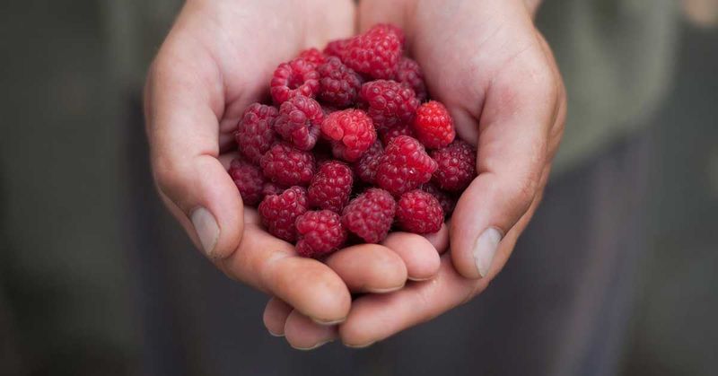 Raspberries