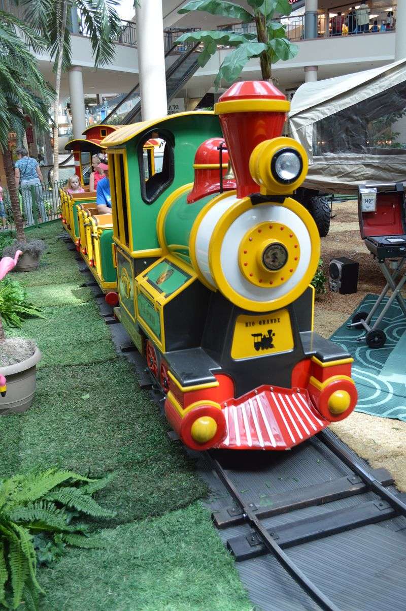 Riding the Mall Train