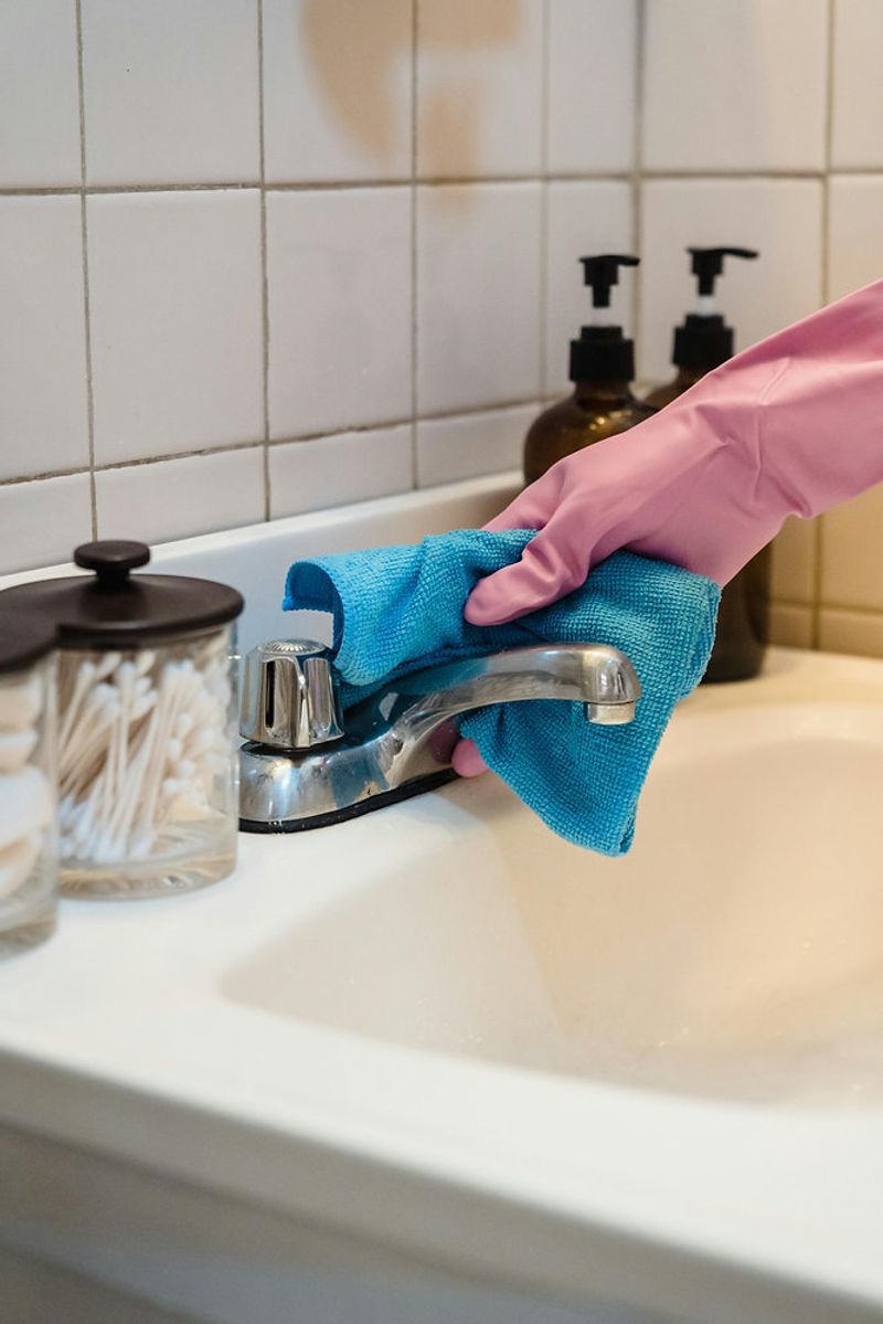 Sanitize Bathroom Fixtures