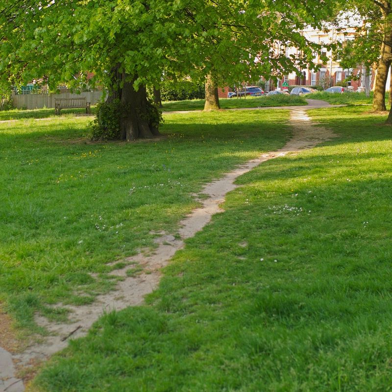 Shortcut Through the Park