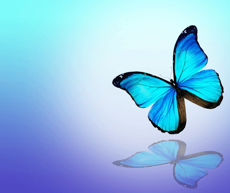 The Joyful Blue