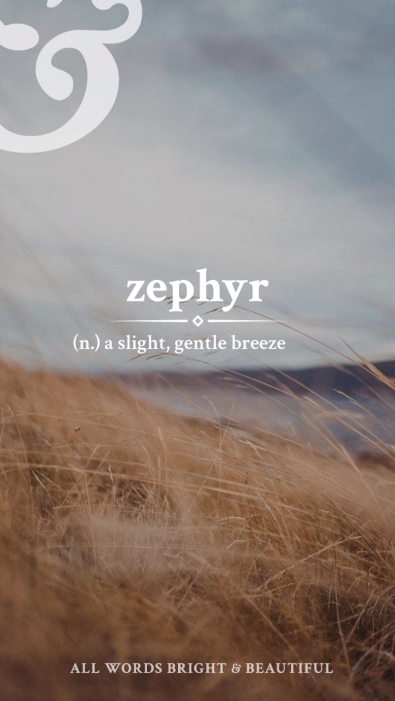 Zephyr