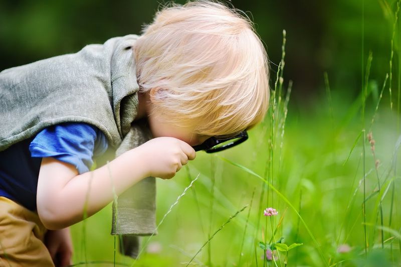 Curiosity