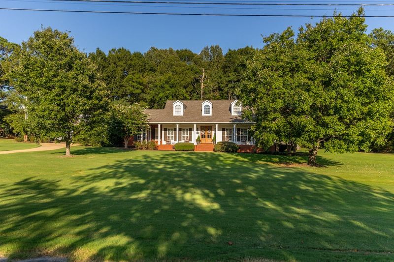 Unkempt Lawn