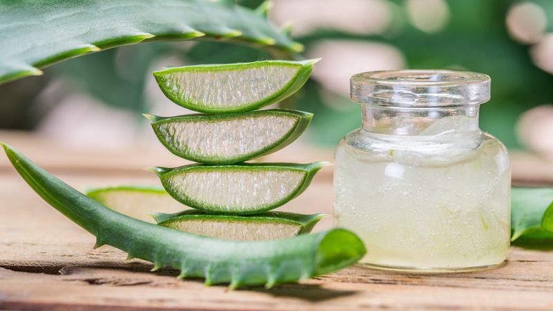 Aloe Vera for Burns