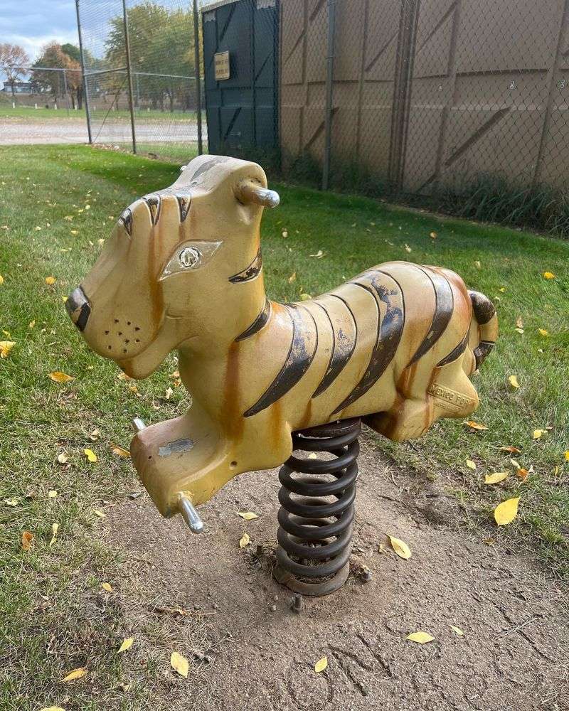 Animal Spring Riders