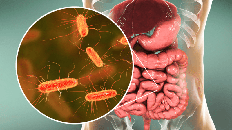 Antihistamines