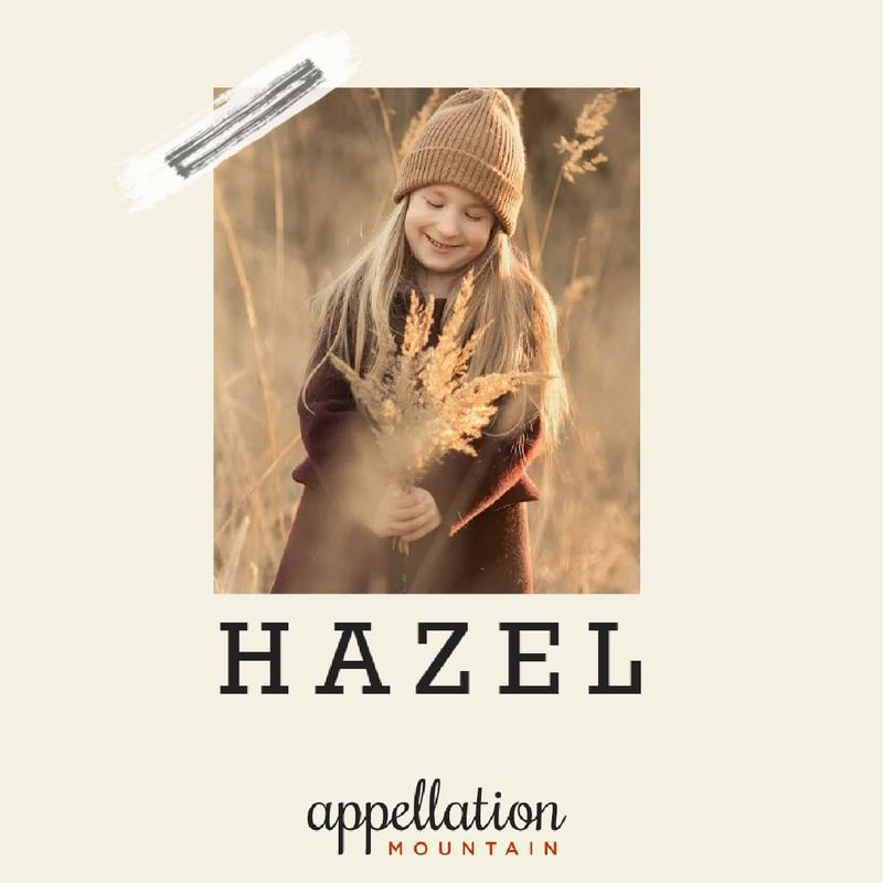 Hazel