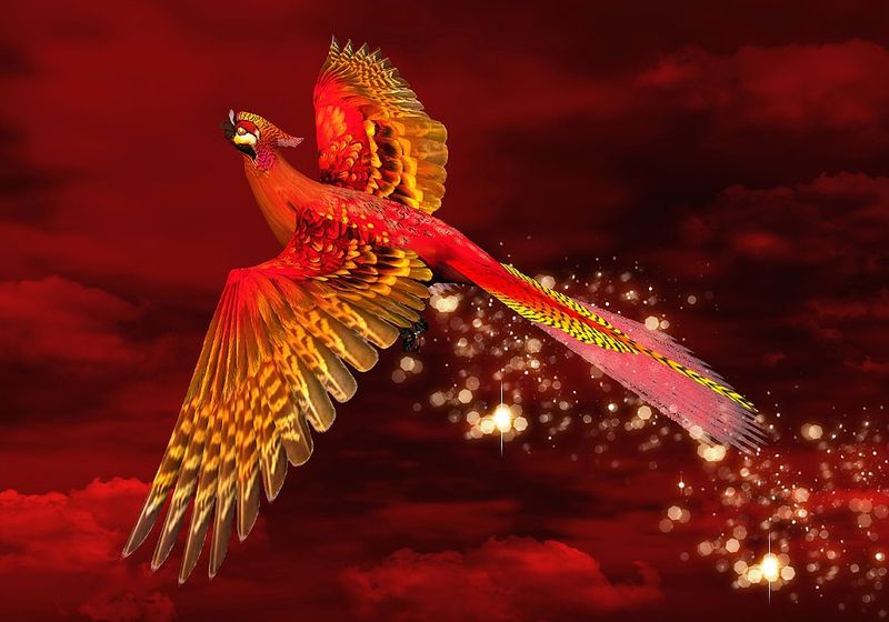 Phoenix