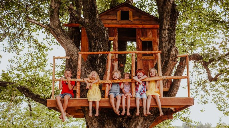 Building Forts and Treehouses