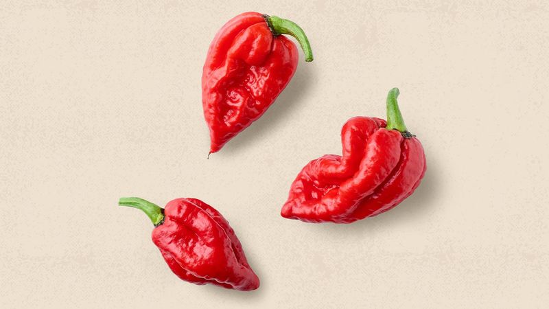 Spicy Foods