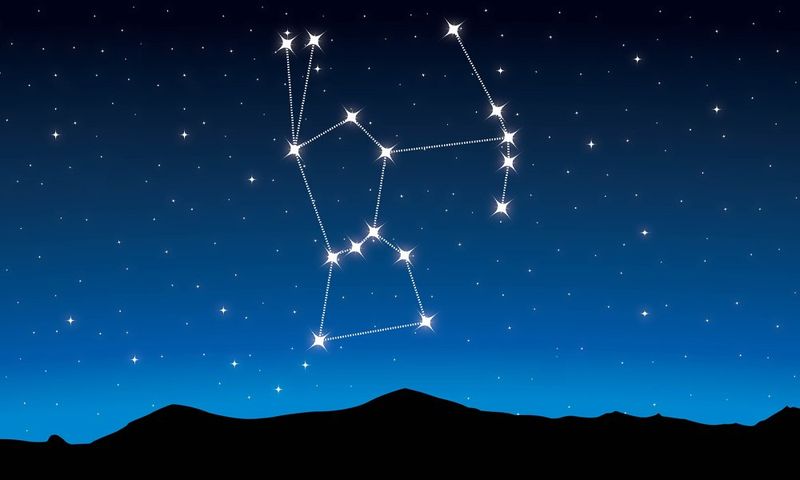 Orion