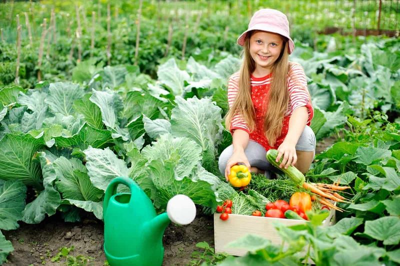 Gardening for Food