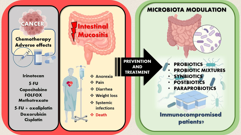 Chemotherapy Drugs