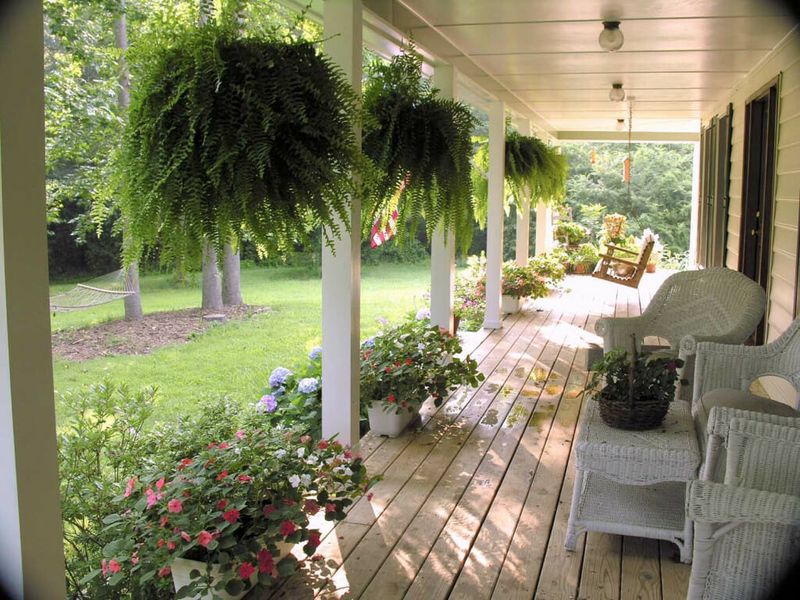 Fondness for Front Porches
