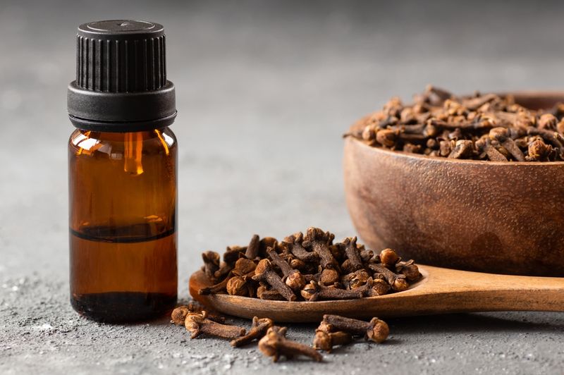 Clove Oil for Toothache